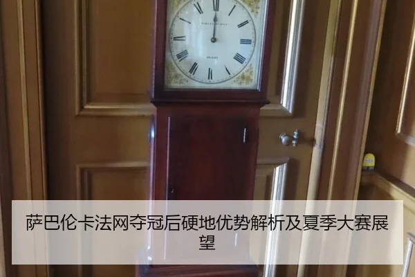 萨巴伦卡法网夺冠后硬地优势解析及夏季大赛展望
